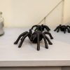Large Wall-Mountable Cast Iron Spider