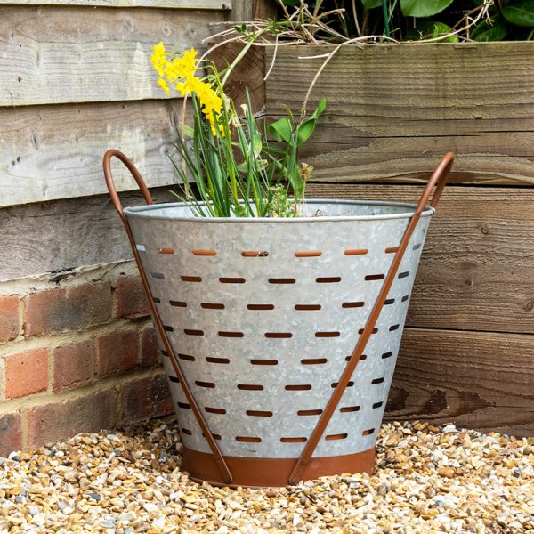 Oyster Bucket Garden Planter