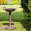 Floor Standing Bird Bath And Feeder