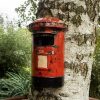 British Pillar Post Box Bird House