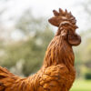 Outdoor Décor Cockerel Statue