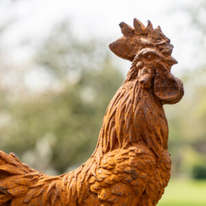Outdoor Décor Cockerel Statue