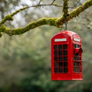 British Telephone Box Birdhouse