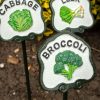 Plant Markers