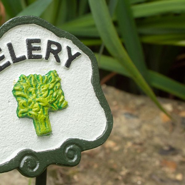 Plant Markers