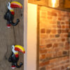 Toucan Coat Hooks