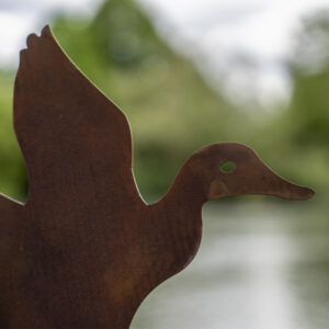 Duck Garden Ornament
